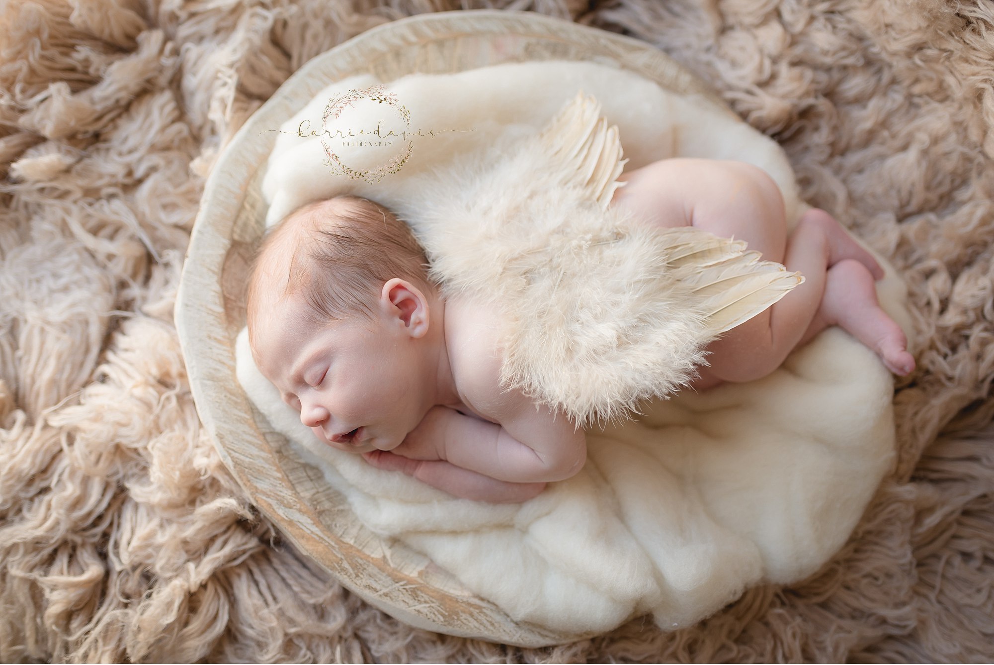 newborn session