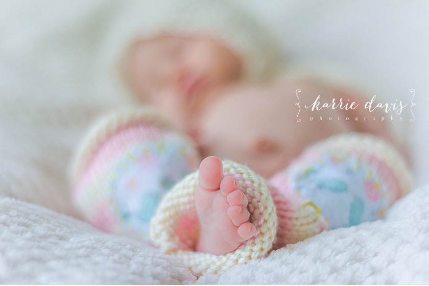 south jersey newborn photographer