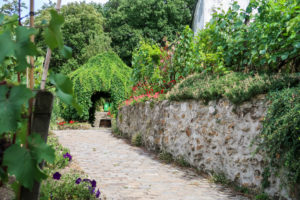 A Montmartre vineyard