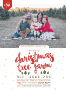 tree farm holiday mini sessions